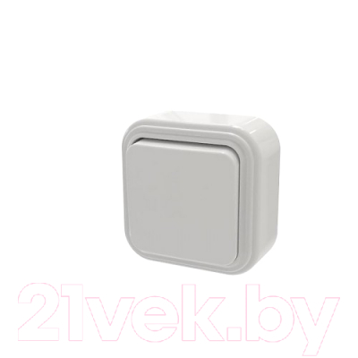 Выключатель Элект VA16-131-БЖ - фото