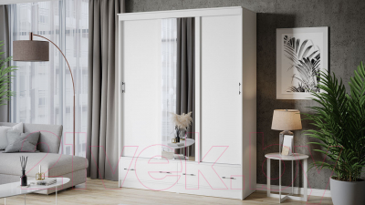 Шкаф-купе ТриЯ Квинт 02-45.015 (белый)