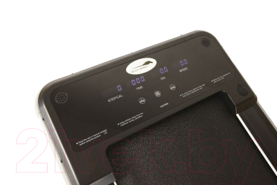 Электрическая беговая дорожка Iron Horse Texas