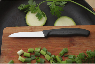 Нож Victorinox Swiss Classic 6.7403