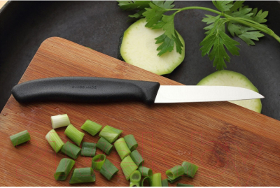 Нож Victorinox Swiss Classic 6.7403