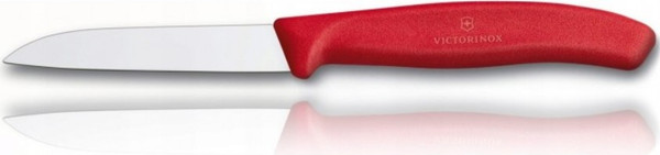 Нож Victorinox Swiss Classic 6.7401