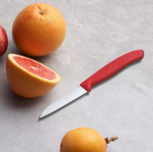 Нож Victorinox Swiss Classic 6.7401