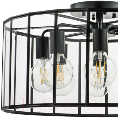 Люстра Lightstar Genni 798287 (MX7961-8A)