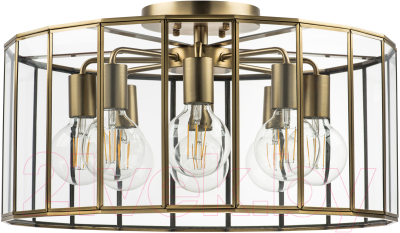 Люстра Lightstar Genni 798281 (MX7961-8A) - фото