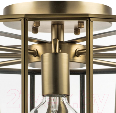 Люстра Lightstar Genni 798281 (MX7961-8A)