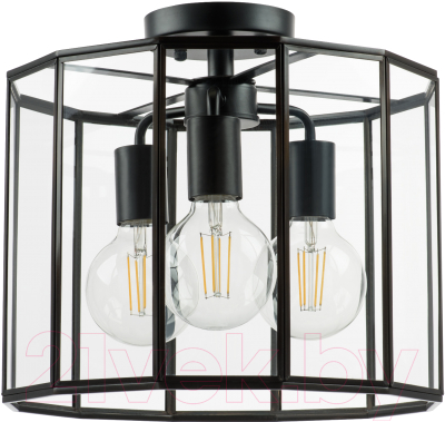 Люстра Lightstar Genni 798237 (MX7961-3A) - фото