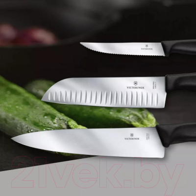 Нож Victorinox Swiss Classic 6.8003.12B