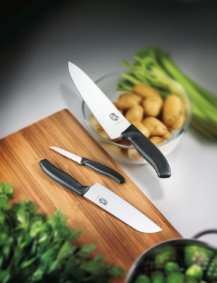 Нож Victorinox Swiss Classic 6.8003.19B