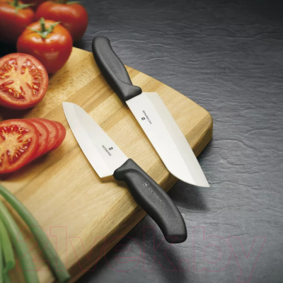 Нож Victorinox Swiss Classic 6.8003.25B