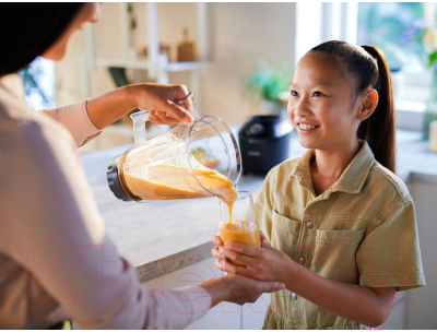 Блендер стационарный Philips HR2291/41