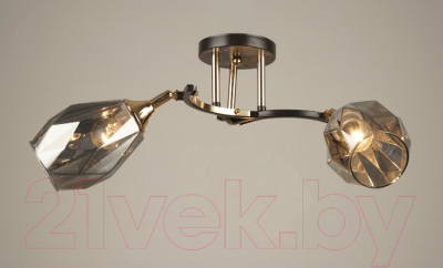 Потолочный светильник Mirastyle SX-4514/2 - фото