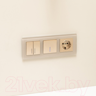 Выключатель Werkel W1112110