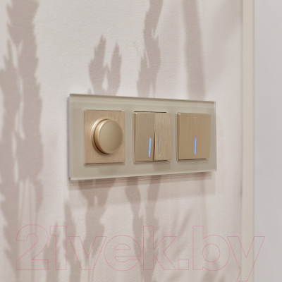 Выключатель Werkel W1112110