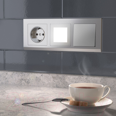 Встраиваемая подсветка Werkel W1154306