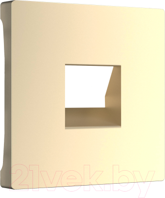 Лицевая панель для розетки Werkel W1192011 - фото