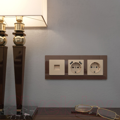 Лицевая панель для розетки Werkel W1192011