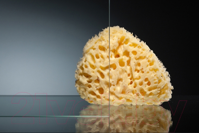 Душевой уголок Radomir 90 / 1-09-1-0-0-0010 (прозрачное стекло)