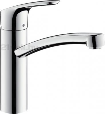 Смеситель Hansgrohe Focus 31806000 - фото
