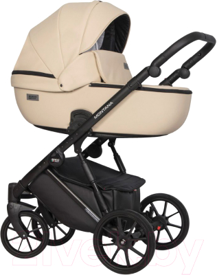 Детская универсальная коляска Riko Montana Ecco 2 в 1 - фото