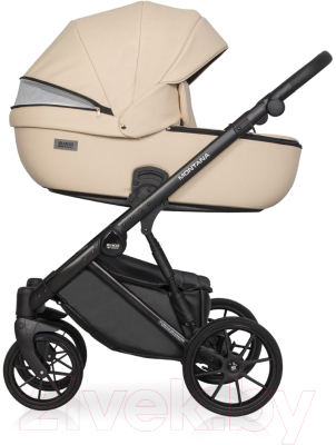 Детская универсальная коляска Riko Montana Ecco 2 в 1