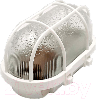 Светильник ЖКХ Элект НБП 01-60-002 У3 - фото