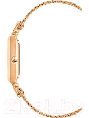 Часы наручные женские Anne Klein 3882RGRG
