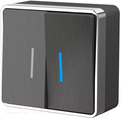 Выключатель Werkel Gallant W5020104 - фото