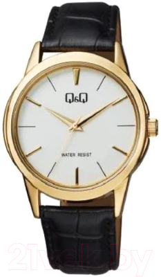 Часы наручные мужские Q&Q Q860J101Y - фото