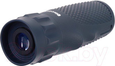 Монокуляр Levenhuk Discovery Gator 10x25 / 78232 - фото