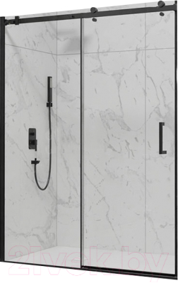 Душевая дверь RGW TO-14B / 02071412-14