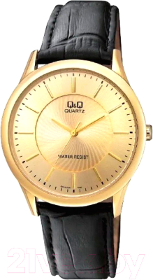 Часы наручные мужские Q&Q Q948J100Y - фото