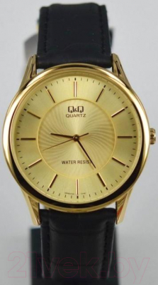 Часы наручные мужские Q&Q Q948J100Y