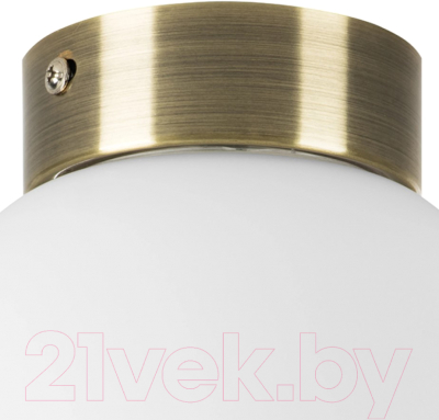 Потолочный светильник Lightstar Globo 812011 (MX8131-1B-S)