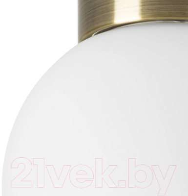 Потолочный светильник Lightstar Globo 812011 (MX8131-1B-S)