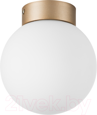 Потолочный светильник Lightstar Globo 812013 (MX8131-1B-S) - фото