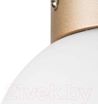 Потолочный светильник Lightstar Globo 812013 (MX8131-1B-S)
