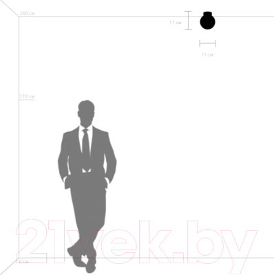 Потолочный светильник Lightstar Globo 812013 (MX8131-1B-S)