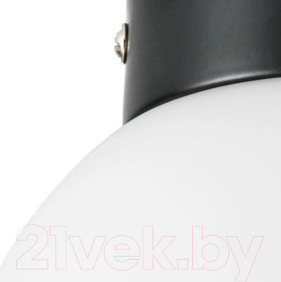 Потолочный светильник Lightstar Globo 812017