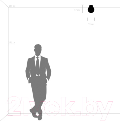 Потолочный светильник Lightstar Globo 812017