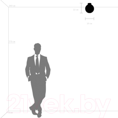 Потолочный светильник Lightstar Globo 812021