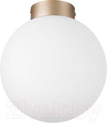 Потолочный светильник Lightstar Globo 812023 - фото