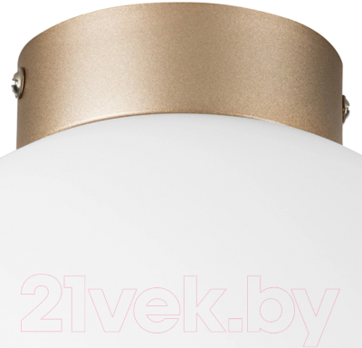 Потолочный светильник Lightstar Globo 812023