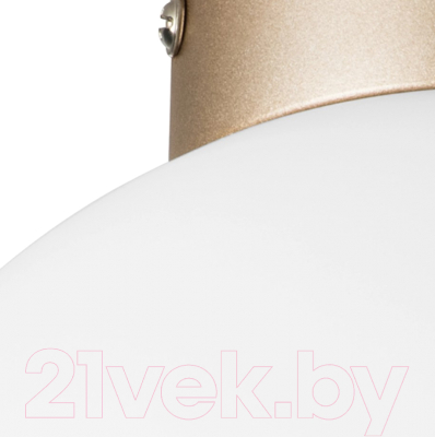 Потолочный светильник Lightstar Globo 812023