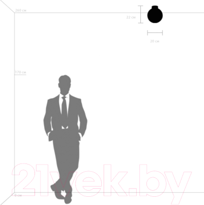 Потолочный светильник Lightstar Globo 812023