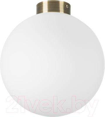 Потолочный светильник Lightstar Globo 812031 (MX8131-1B-L) - фото