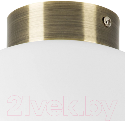 Потолочный светильник Lightstar Globo 812031 (MX8131-1B-L)