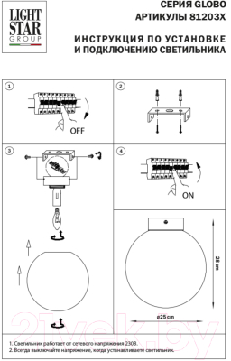Потолочный светильник Lightstar Globo 812031 (MX8131-1B-L)