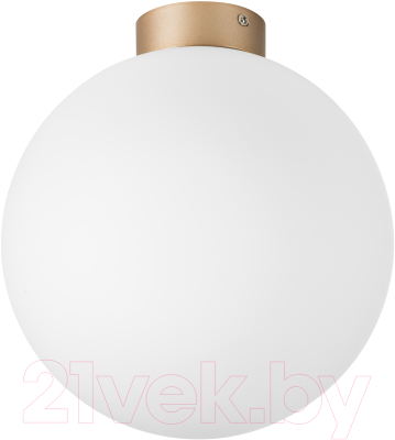 Потолочный светильник Lightstar Globo 812033 (MX8131-1B-L) - фото