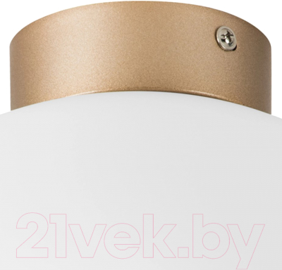 Потолочный светильник Lightstar Globo 812033 (MX8131-1B-L)